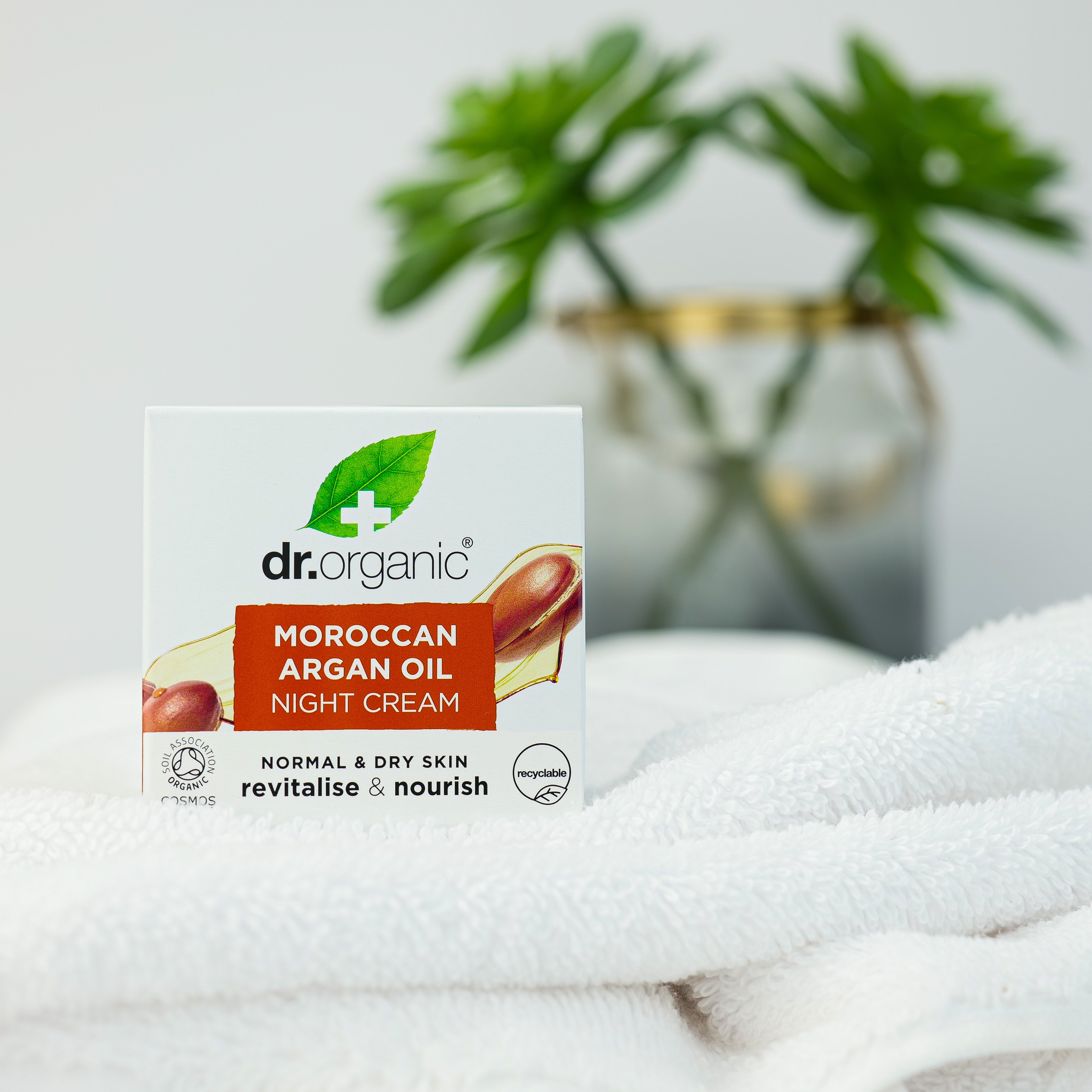 Moroccan Argan Oil Night Cream