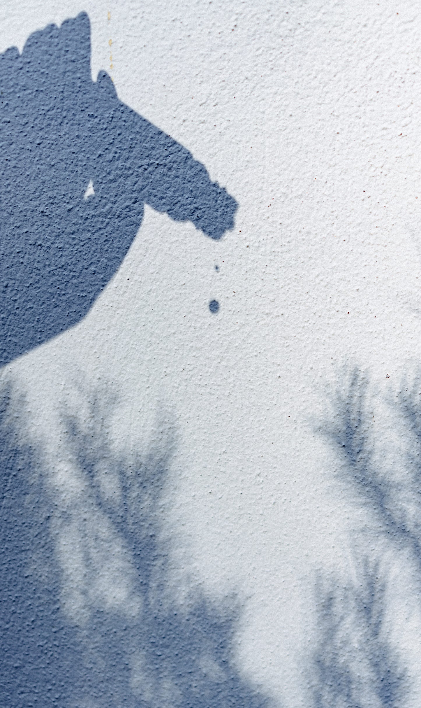 Rosemary Essential Oil