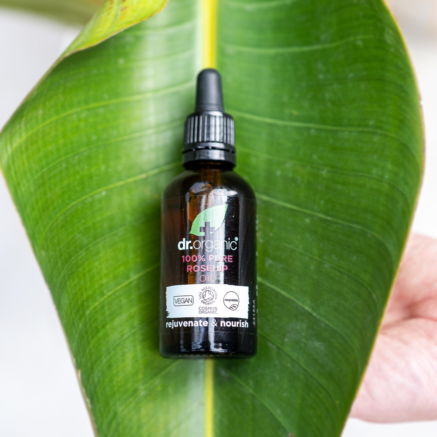Rosehip Oil 100% Pure