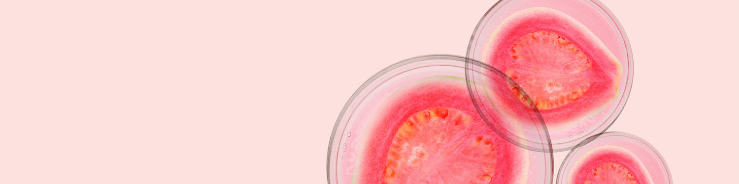 Vitamin C/Guava