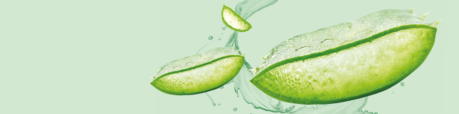 ALOE VERA BODY