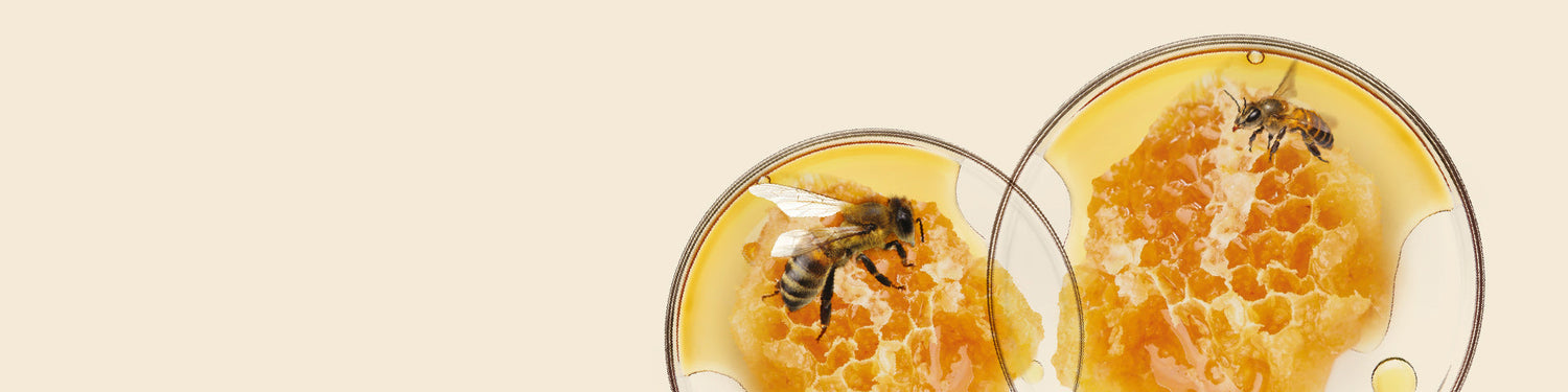 Royal Jelly