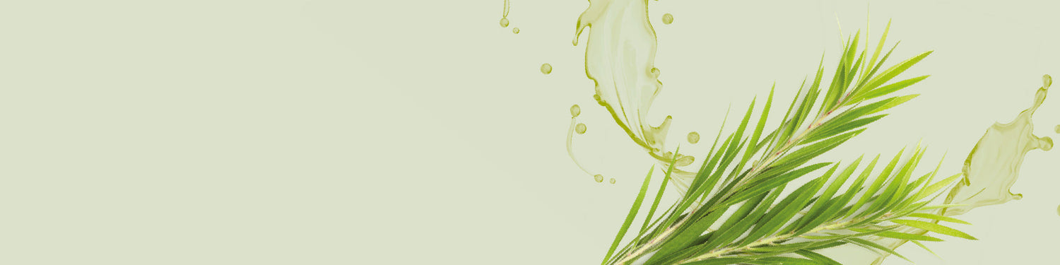 Tea Tree Body