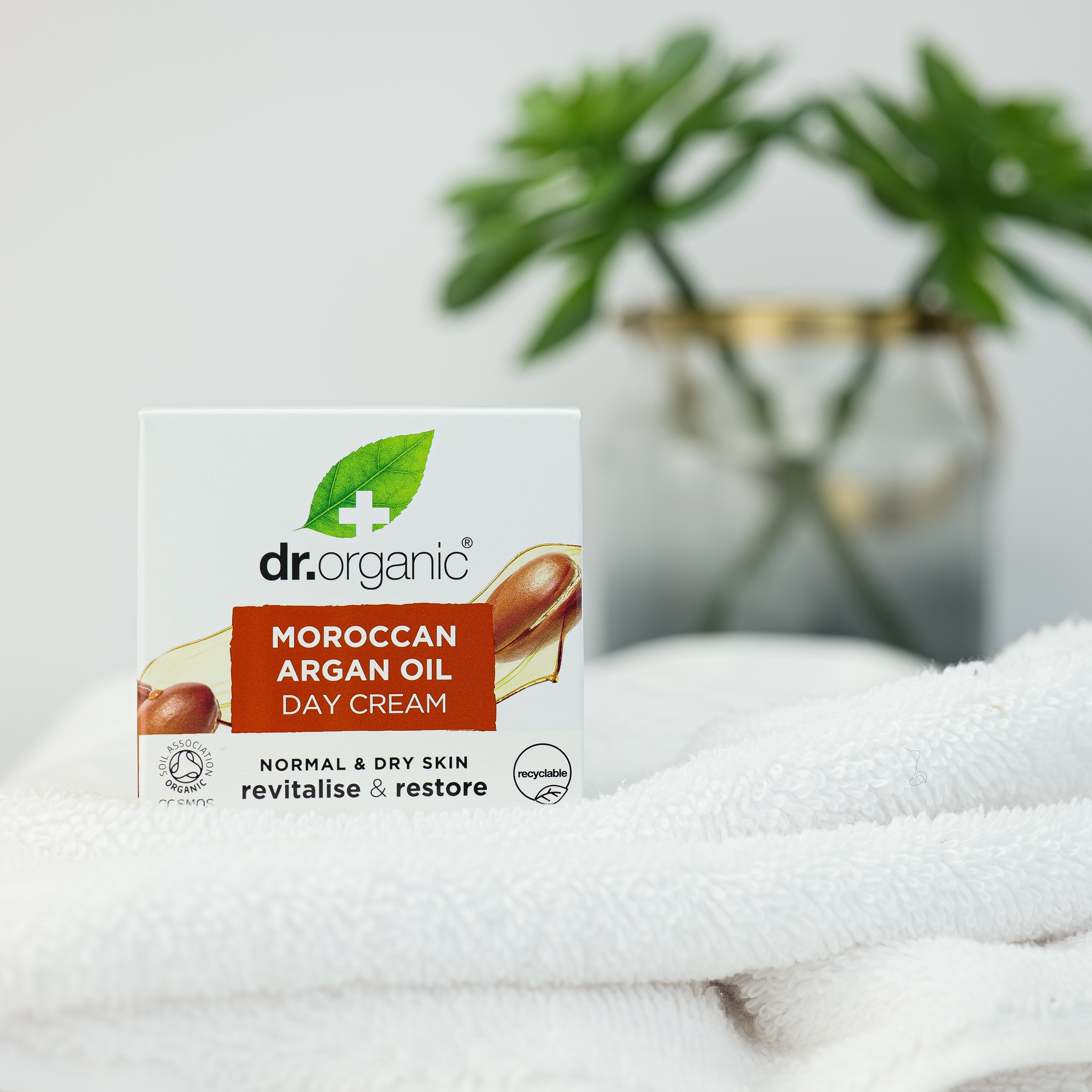 Moroccan Argan Oil Day Cream