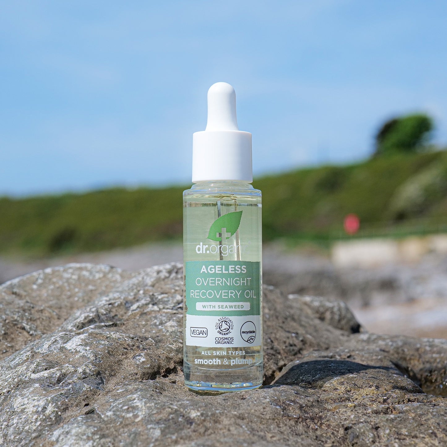 Seaweed Ageless Overnight Recovery Oil