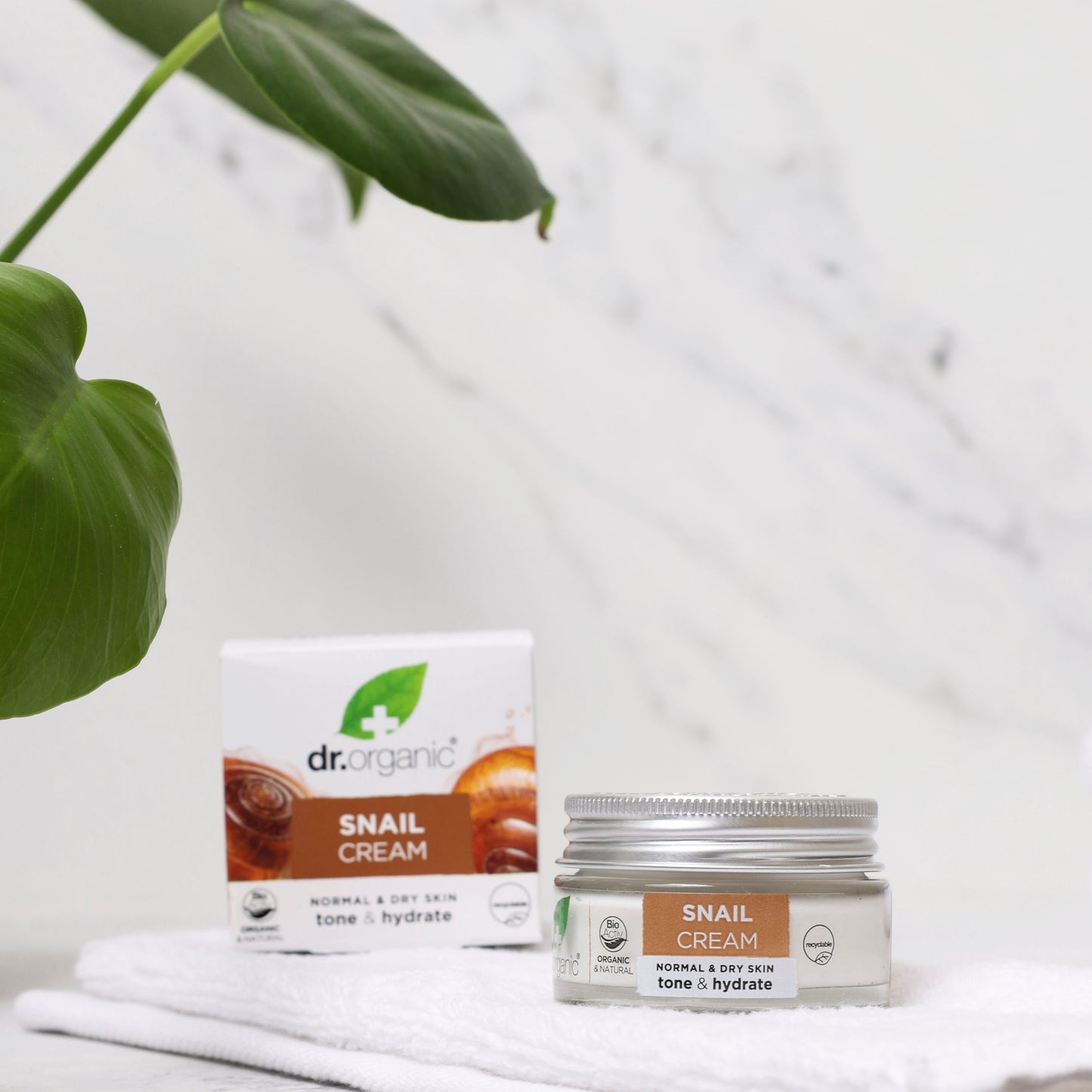 Snail Cream