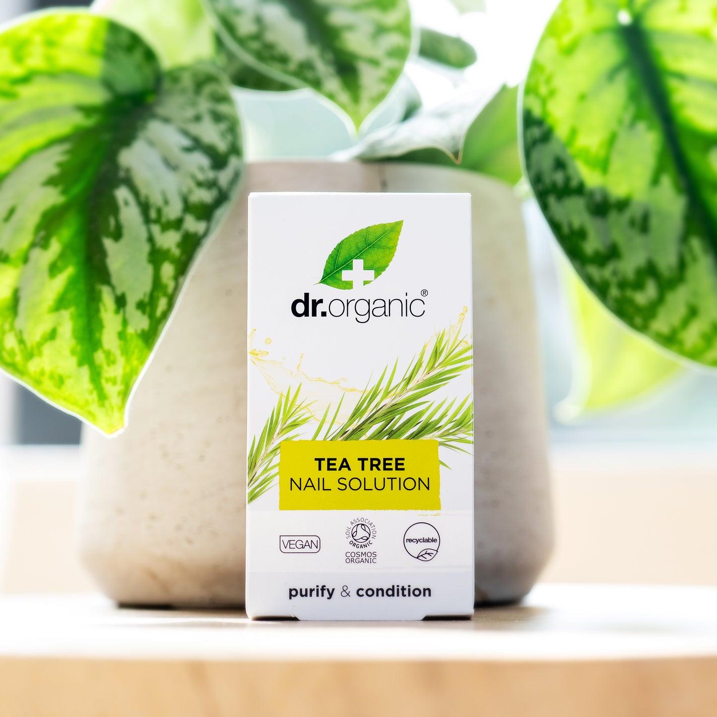 Tea Tree Nail Solution