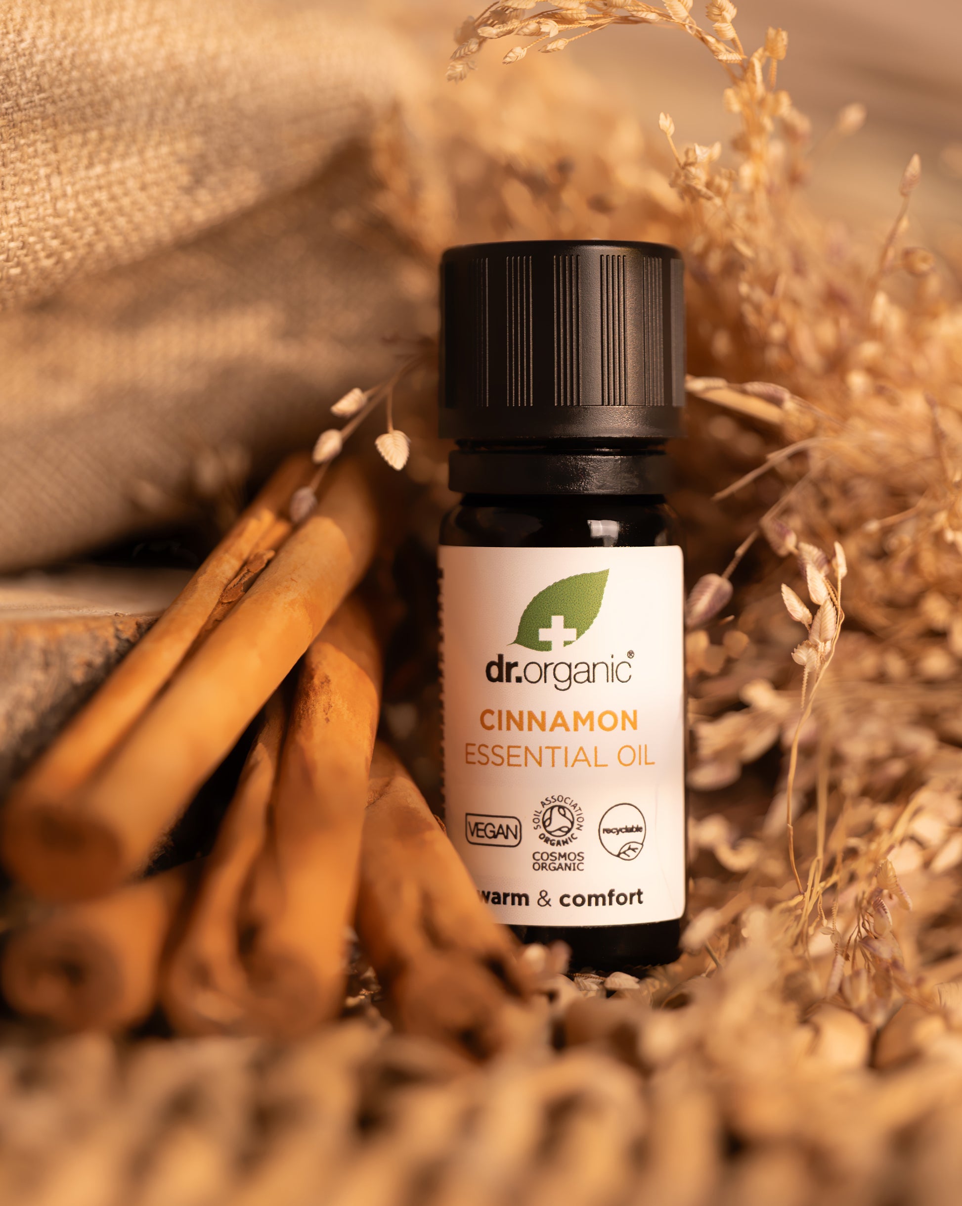 plant therapy cinnamon bark essential oil Cinnamon Pure Oil
