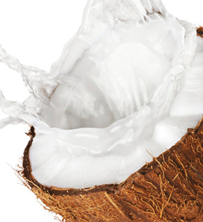 Virgin Coconut Oil Body Wash