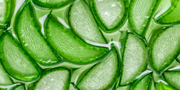 Aloe Vera Gel