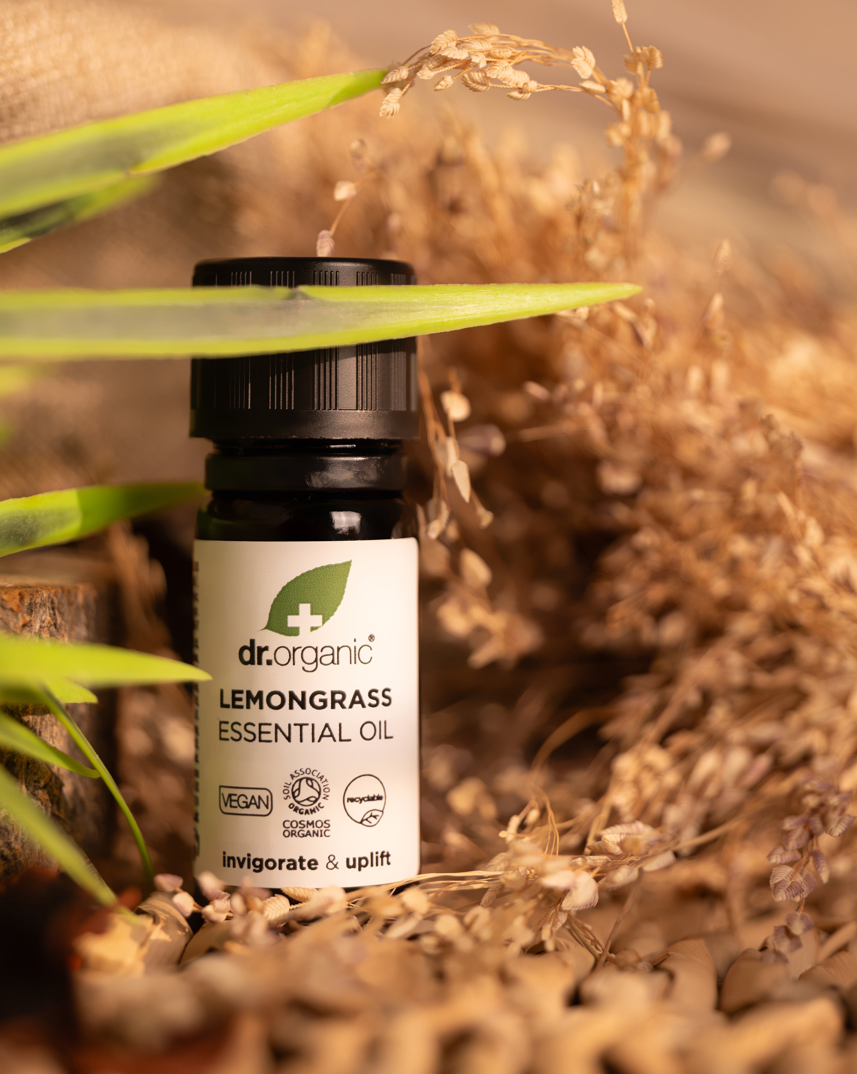 Lemongrass Essential Oil