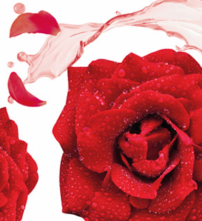 Rose Otto Night Cream